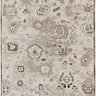 Antalya AY5 Silver Area Rug