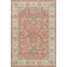 Hatay HY9 Coral Area Rug