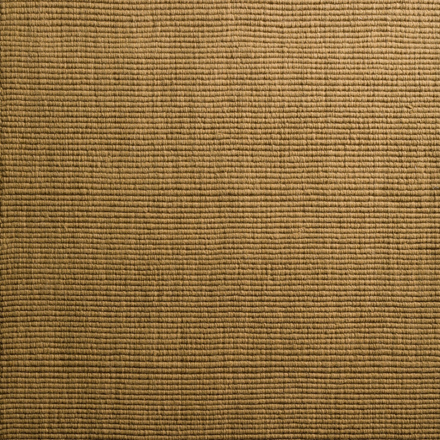 Monaco Sisal Gold Area Rug