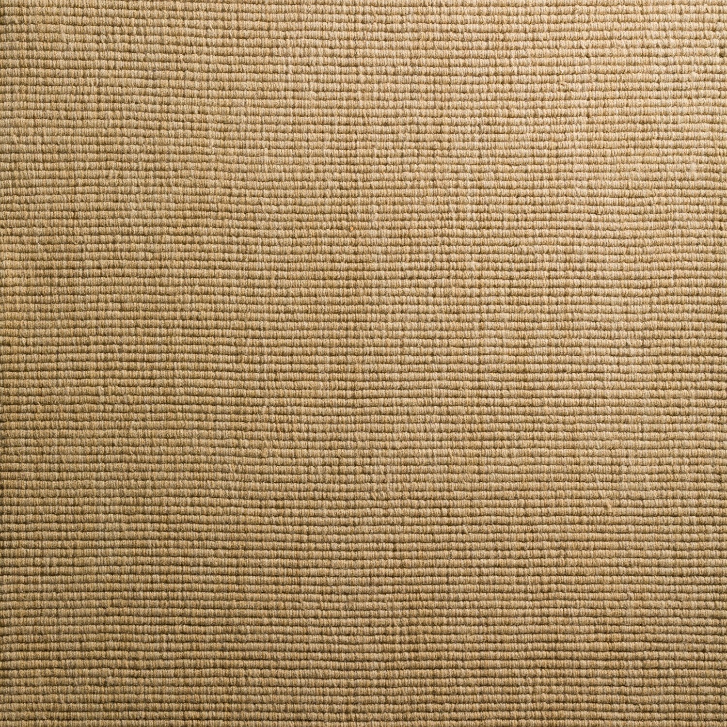 Monaco Sisal Honey Area Rug