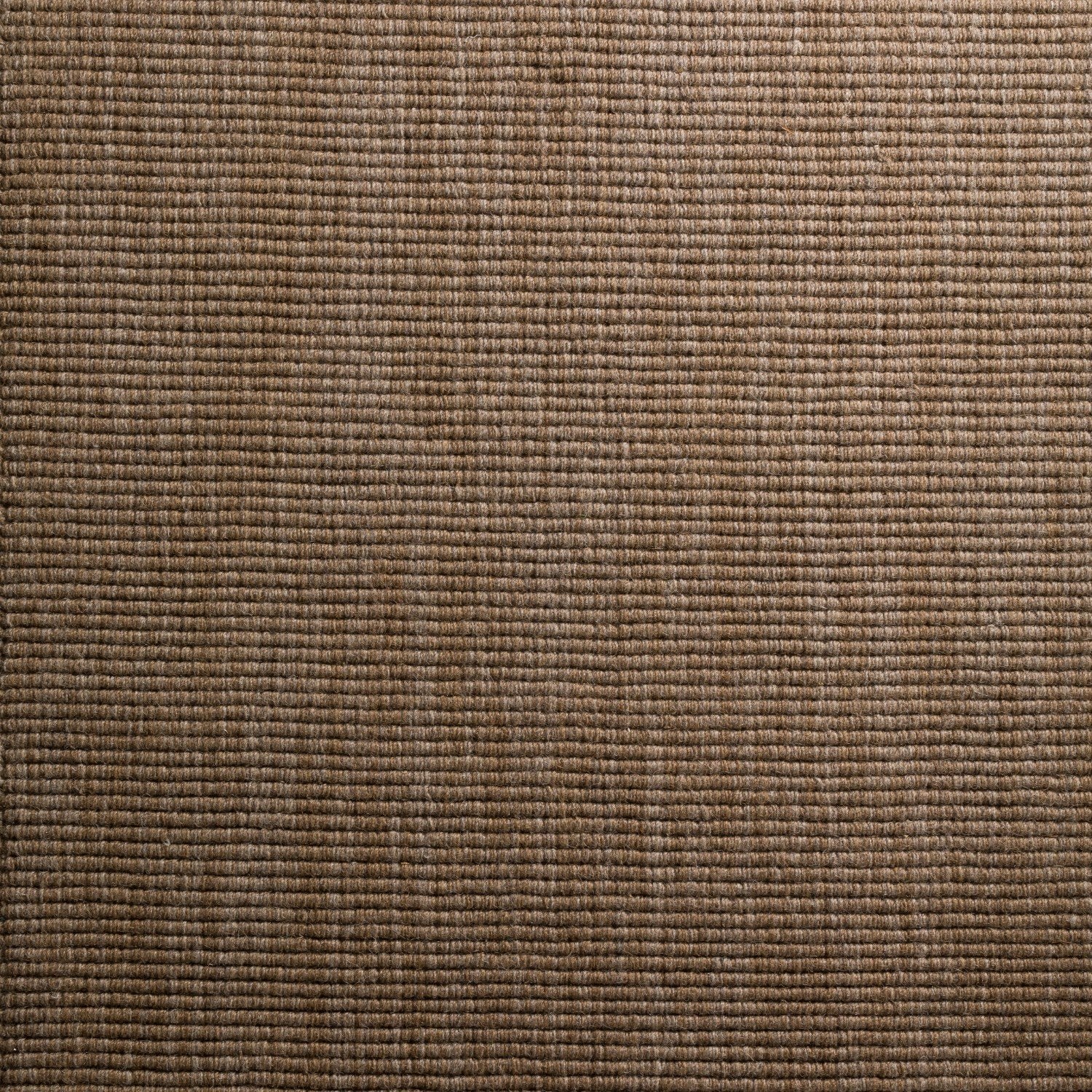 Monaco Sisal Mocha Area Rug