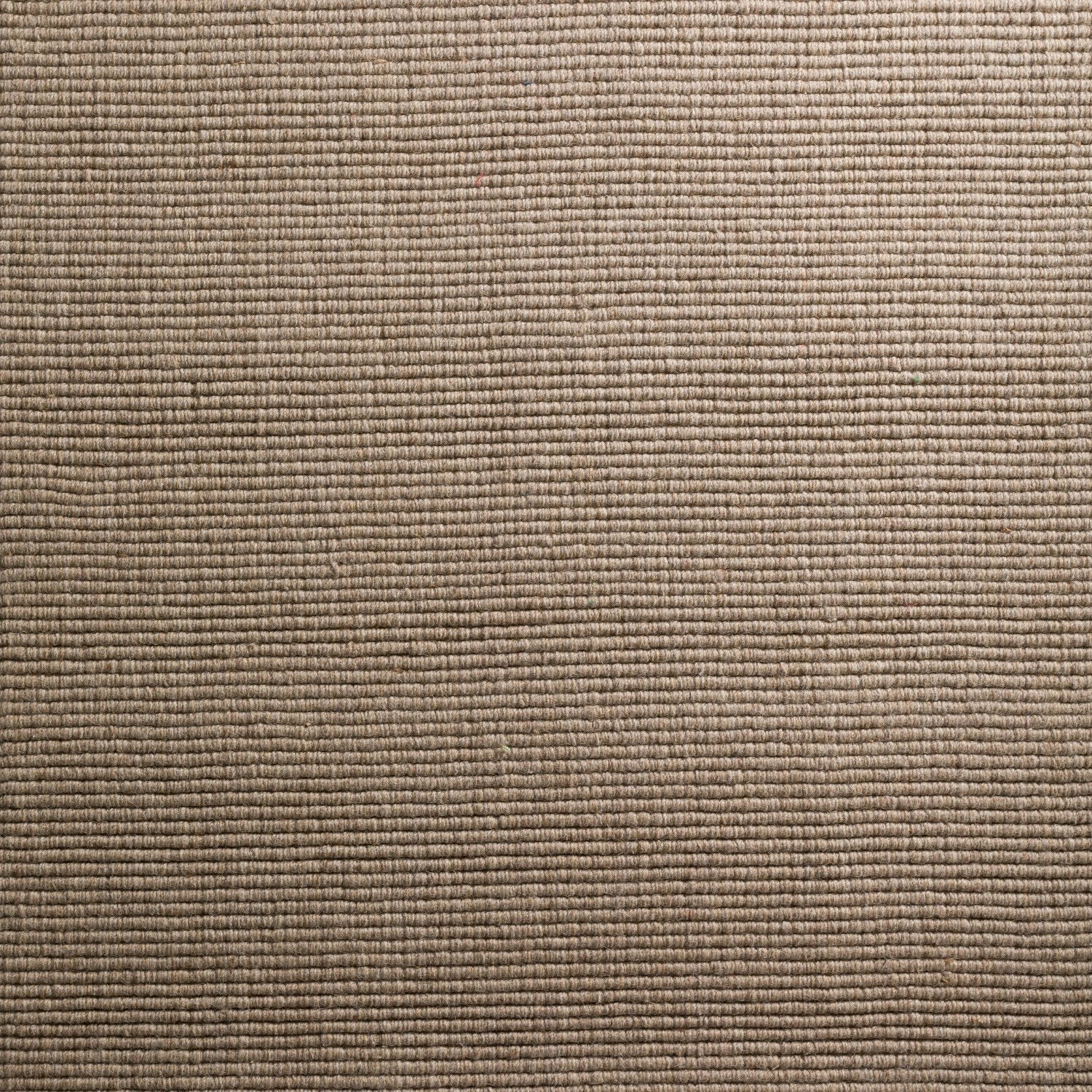 Monaco Sisal Taupe Area Rug