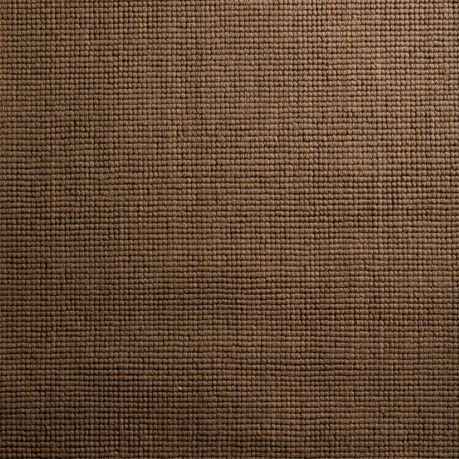 Monaco Sisal Fudge Area Rug