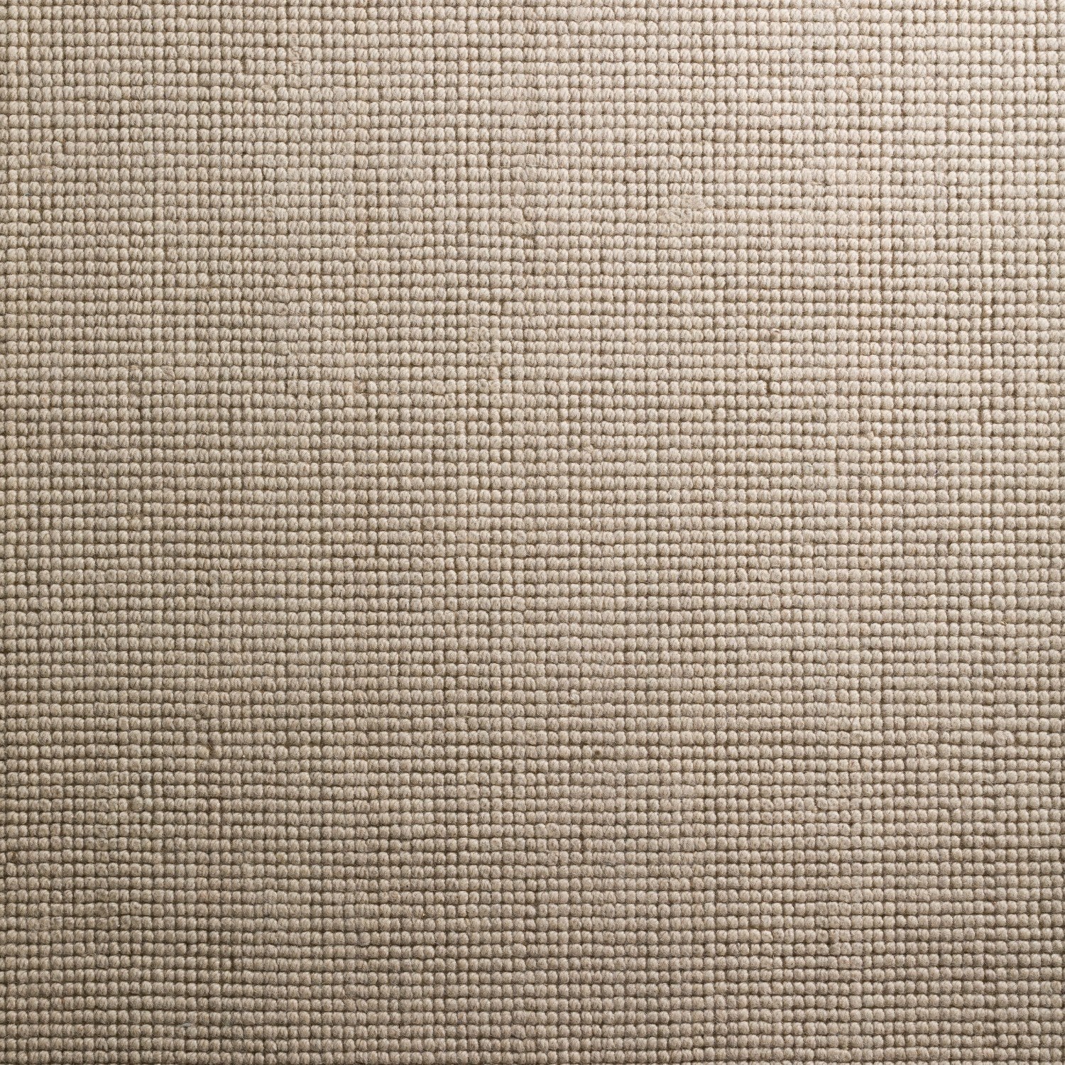 Monaco Sisal Ivory Area Rug