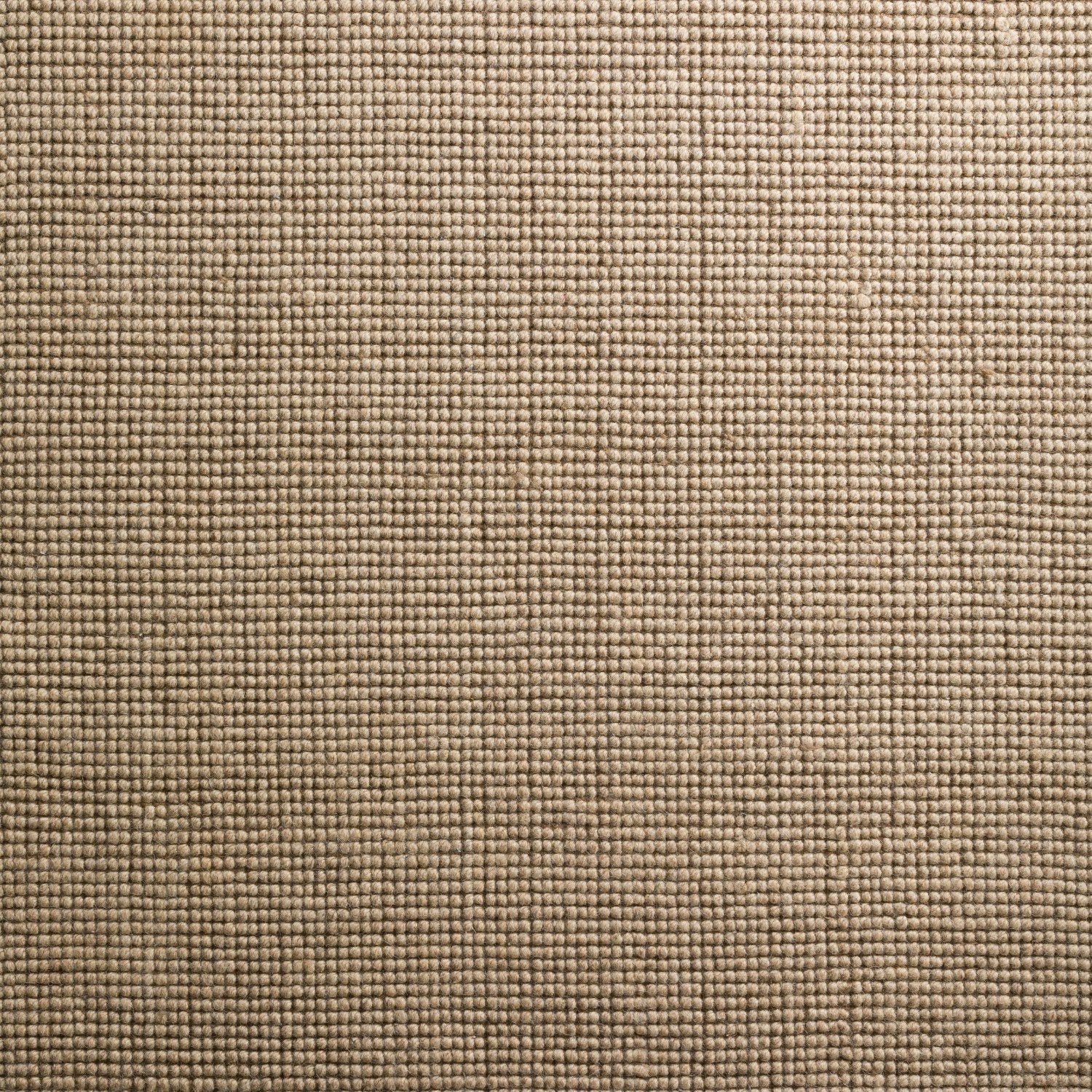 Monaco Sisal Oatmeal Area Rug