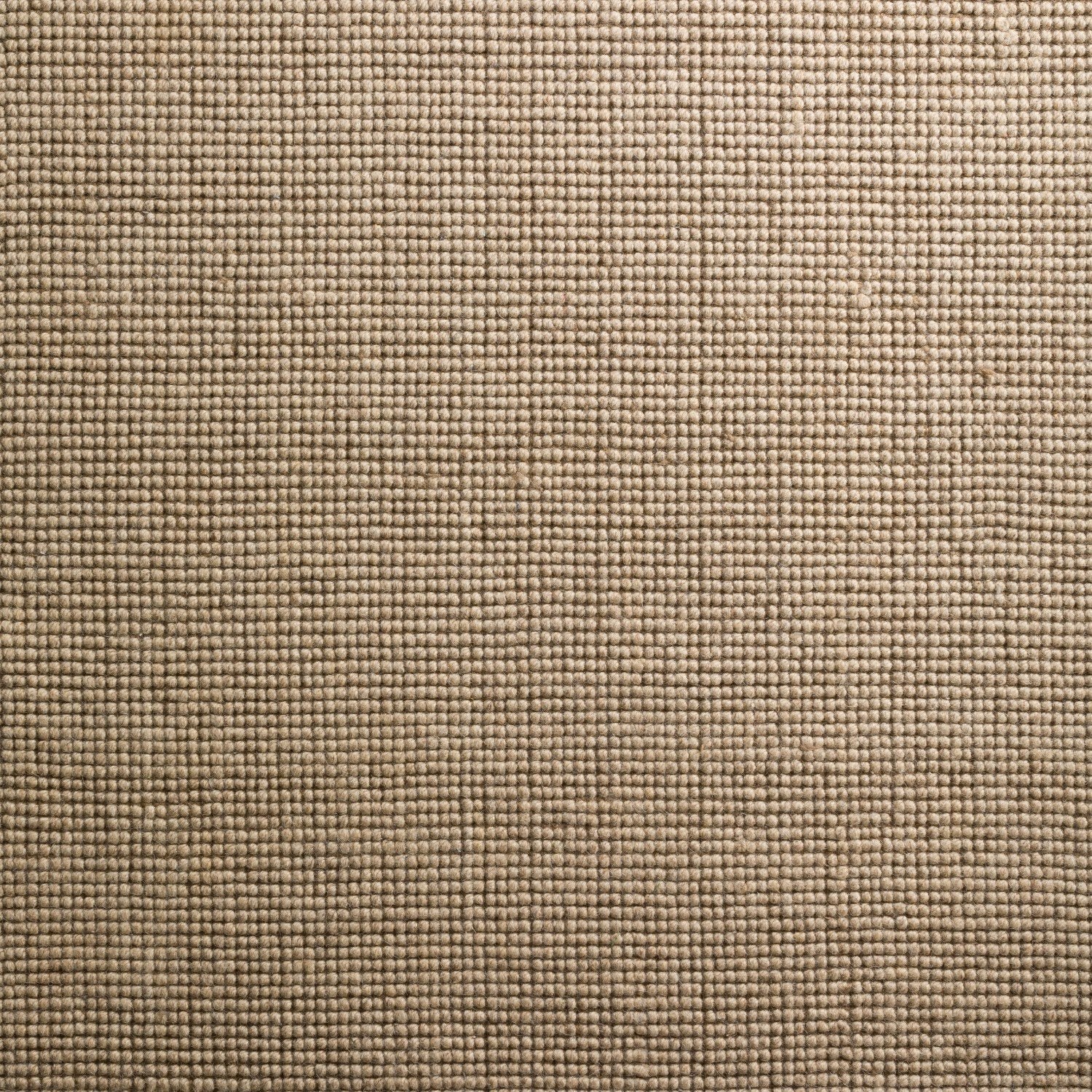 Monaco Sisal Oatmeal Area Rug