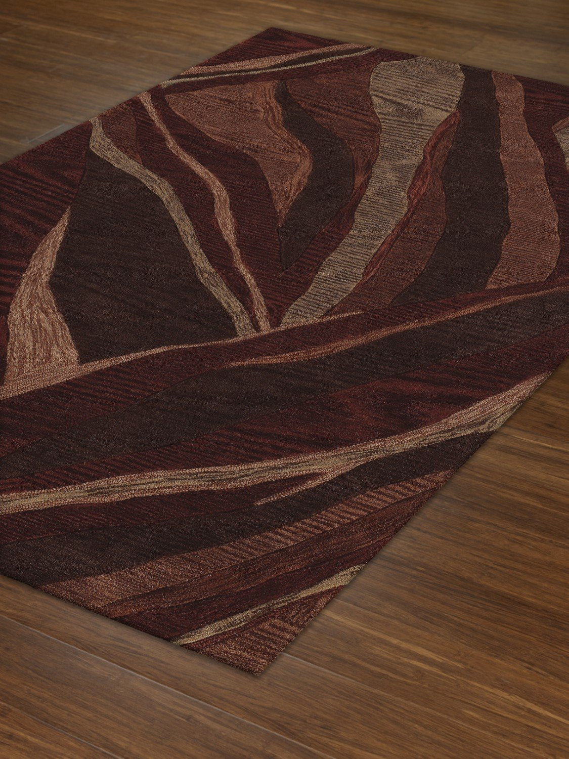 Studio Canyon Area Rug