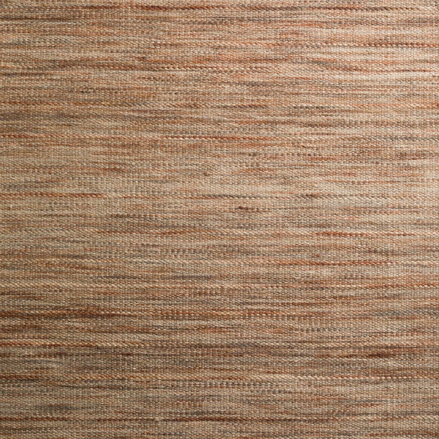 Targon Desert Area Rug